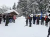 medved8